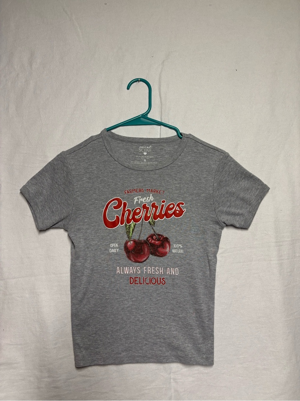 Fresh Cherries Graphic Tee - Gray